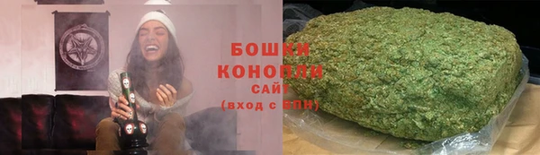 ECSTASY Богданович